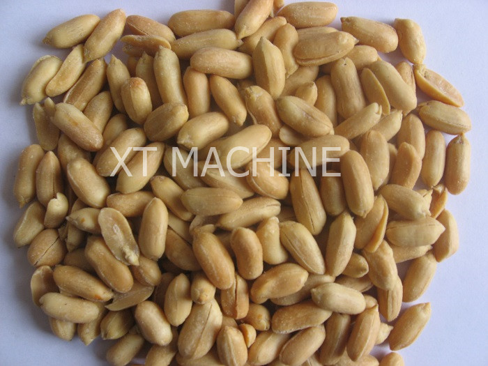 Electric Deep Salted Peanut Frying Machine 2000KGS/H for Groundnut
