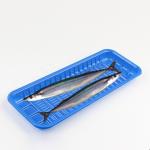 Blue Color Food Grade Material 20*16.5*3.5cm PP Food Tray