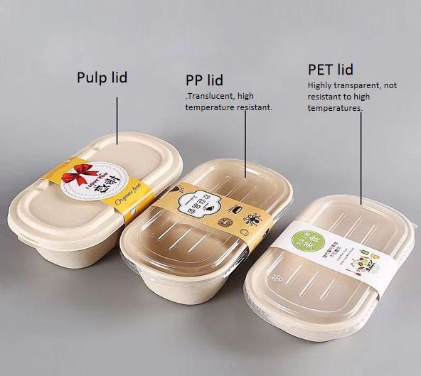 800ml Rectangular Disposable Packaging Containers , Bamboo Fibre Paper Pulp Box