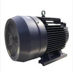 50HZ Asynchronous Electric Motor
