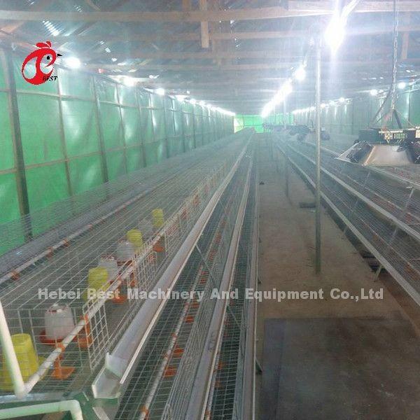 Rearing Cage Poultry Farm Brooder Breeding Equipment Sandy