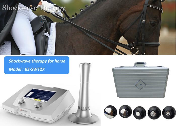190 MJ High Energy Veterinary Shock Therapy Machine For Horse And Small Pets