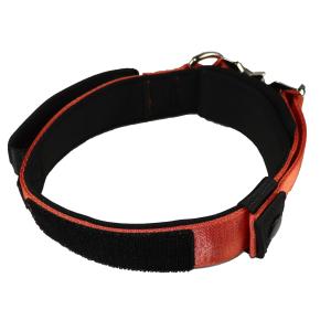 Quality 30 28 Inch Custom Dog Collars For Large Dogs Xl Xs Xxs Nylon Custom Pet Collar Metal Buckle wholesale