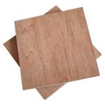Bintangor Core 5 Ply 8.5mm Bintangor Plywood