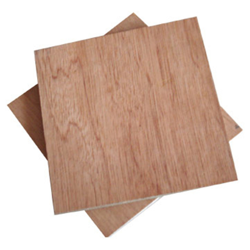 Eucalyptus FSC 1220*2440mm Bintangor Plywood For Furniture