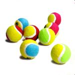 tennis ball dog toy