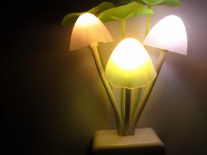 Quality Mushroom night light decorate room/mushroom night light for gift wholesale