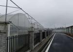 Simple Structure Plastic Film Greenhouse For Vegetables / Fruits Growing