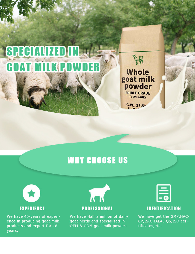 Drinking Raw Goat Milk Powder Rich A2 Beta Casein Protein
