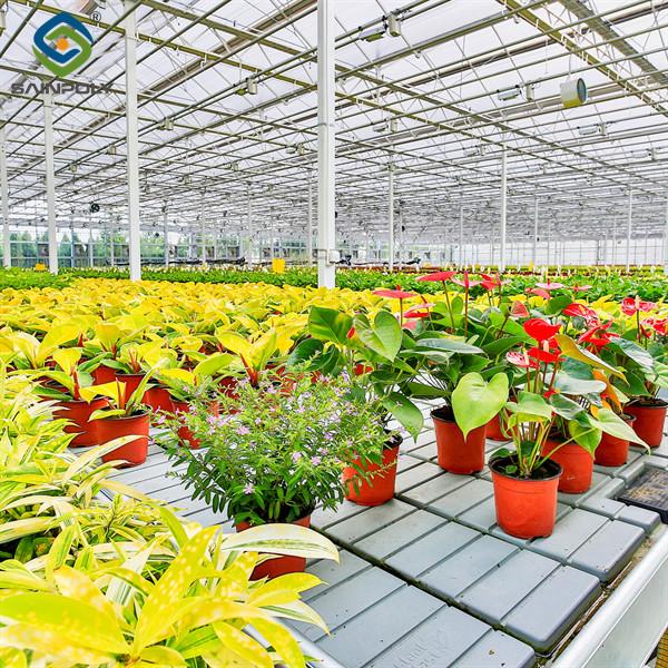 Intelligent Smart Flower Greenhouses With Hydroponic System Rolling Bench