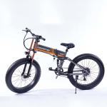 21 Speed Off Road Ebike , Snow Electric Mountain Bicycles Fat Tire 26 Inch