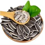 Nutritious Hulled Sunflower Hearts Perfect for Your Customers