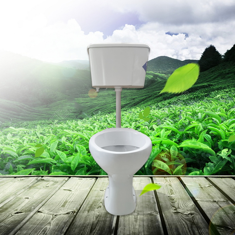 Split Toilet 2 Piece Wall Mounted Toilet Washdown 30KG