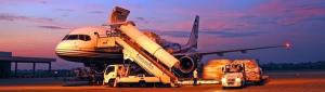 Quality Agent International Express Courier Shipping Logistics With Insurance wholesale