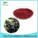 100% Natural Elderberry Extract Powder 10:1 20:1