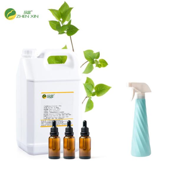 Cheap High Concentrated Forest Air Freshener Fragrance For Home Hotel Room for sale
