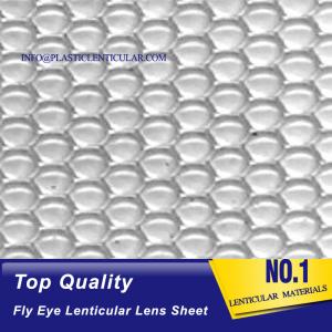 Quality PLASTIC LENTICULAR fly's eyes Lenticular sheet cylinder pp 3d suppliers-Lenticular sheet dot lens image philippines wholesale