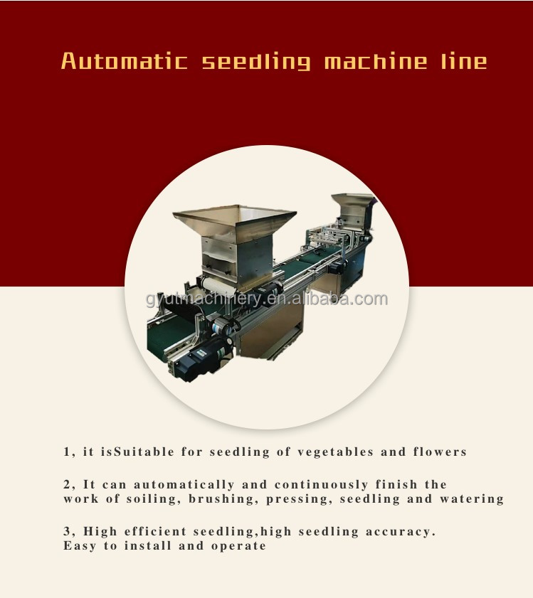 accuracy Seed Planter for Consistent and Sprout Planting in Vegetable Production
