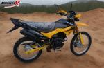 Colored Plastic Enduro Dual Sport Hand Protecter 2.5l 200cc 4 Stroke Dirt Bike