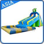 Animal Shape Inflatable Theme Park , Inflatable Water Play Center , Inflatable