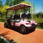 Customized Electric Golf Car Sightseeing Vehicle Design New Modern For Outdoor