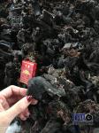 Wool Shredder; Industrial Shredder;Solid Waste Recycling Machine;