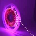 Dc12v 5v 120led 2835 LED Strip High Bright Led Strip 12v 2700k White Red Blue