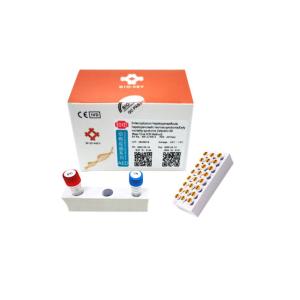 Quality Shrimp Enterocytozoon Hepatopenaei Acute Hepatopancreatic Necrosis PCR Diagnostic kit wholesale