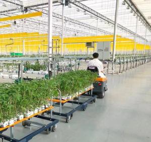 Quality Single or Multi Span Juxiang Dual-Layer Film Greenhouse for Flower Production Green wholesale