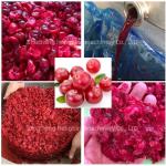 600KG Industrial Hydraulic Presser Cold Press Juicer for Apples Ginger Potatoes