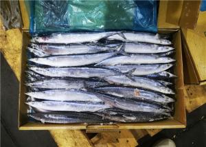 Quality #1 Whole Round Pacific Ocean Saury Frozen Sea Fish wholesale