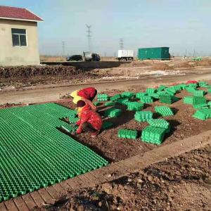 Quality Parking Lot and Driveway HDPE Plastic Grass Grid Paver CE/ISO9001/ISO14001 Certified wholesale