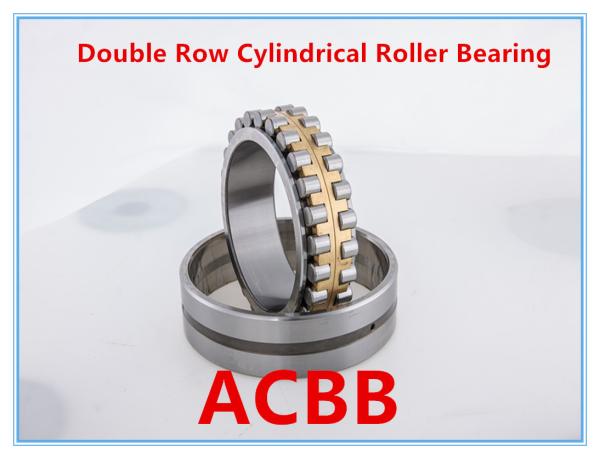 Rotational Speed 3000RPM-5000RPM Double Row Cylindrical Roller Bearing with