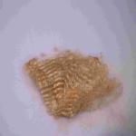 Brown Recycled Short Staple Fiber 64mm Low Melt PSF Polyester Material