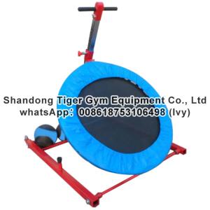 Quality Gym Fitness Equipment trampoline for medicine ball wholesale