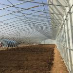 Vegetable Fruits Flowers Winter Sunlight Solar Greenhouse Chinese Style