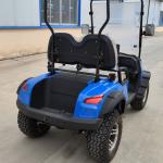 Blue Color 2 Seater Electric Off-Road Golf Cart High Power 12'' Tires 4kw Motor