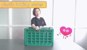 Quality Disposable Totes Plastic Storage Food Container wholesale