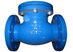 PN10 / PN16 Ductile Iron Valves Hydraulic Swing Check Valve ANSI BS DIN JIS