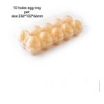 Hinged Clamshell Clear Plastic Egg Tray 10 Holes PET Compression Resistance