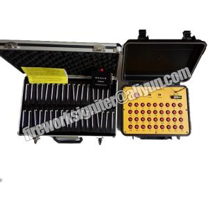 Quality Wedding 36 Cue Pyrotechnic Firework Firing System wholesale