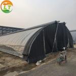Customizable Sides Ventilation Mushroom Greenhouse for Year-Round Production