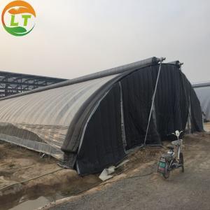 Quality Agricultural Light-Sensitive Greenhouse The Perfect Solution for Mushroom Cultivation wholesale