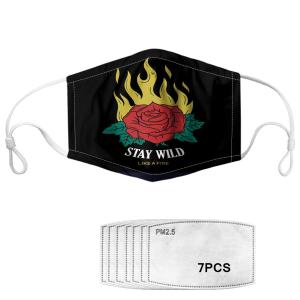 Quality Anti Dust Printed Reusable Face Mask wholesale