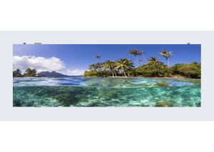 Quality RGB Indoor Rental LED Display Waterproof LED Screen Brightness 800nits wholesale