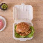 Eco-friendly compostable biodegradable wholesale, disposable corn starch burger
