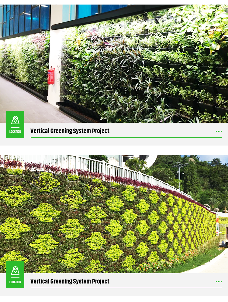 Hydroponic Vertical Self Watering Artificial Green Wall System for Greening Projects