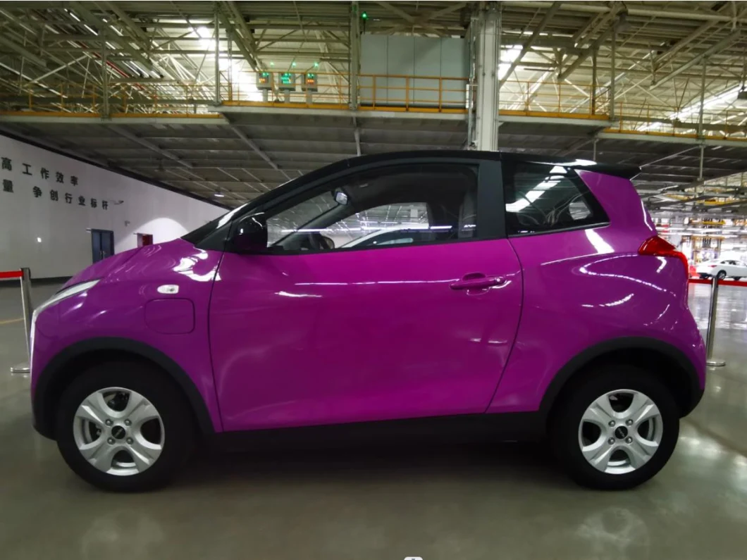 Raysince New Model 3 Door Electric Car 4 Seat Mini Electric Car for Adult