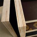 1220x2440x18mm poplar core film faced plywood, 18mm shuttering plywood, most