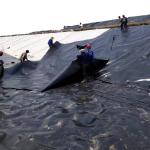 0.1mm to 3mm HDPE Geomembrane for Fish Shrimp Farm Pond in Industrial Design